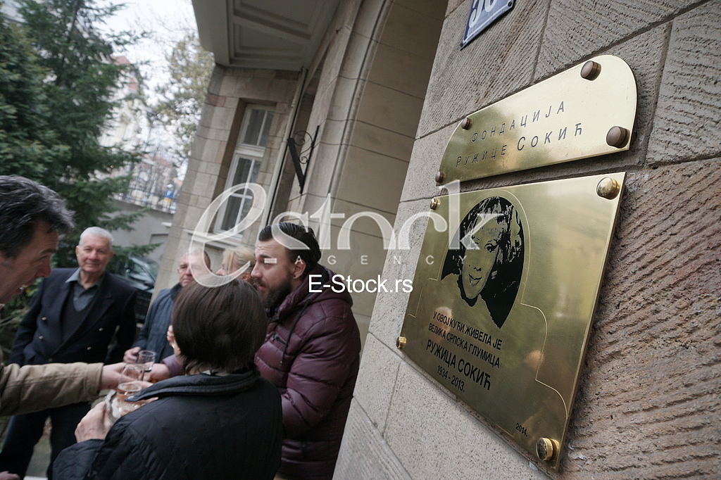 Ruzica Sokic fondation