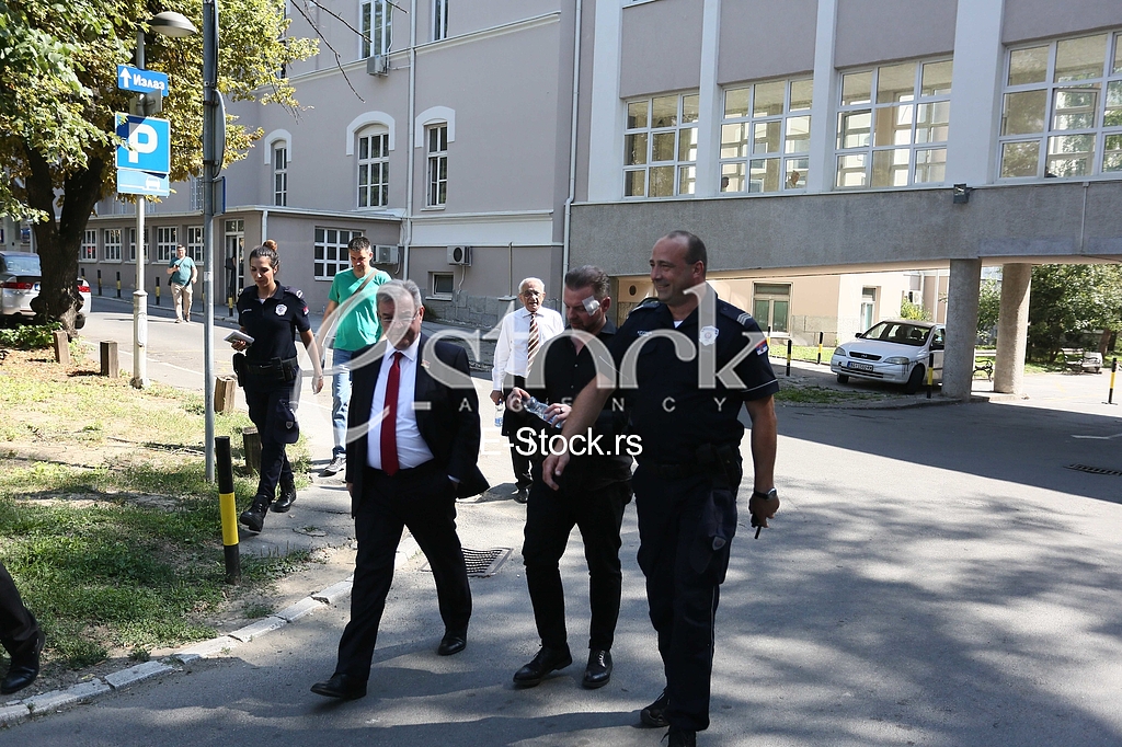 Dragomir Karic Simon de Karic