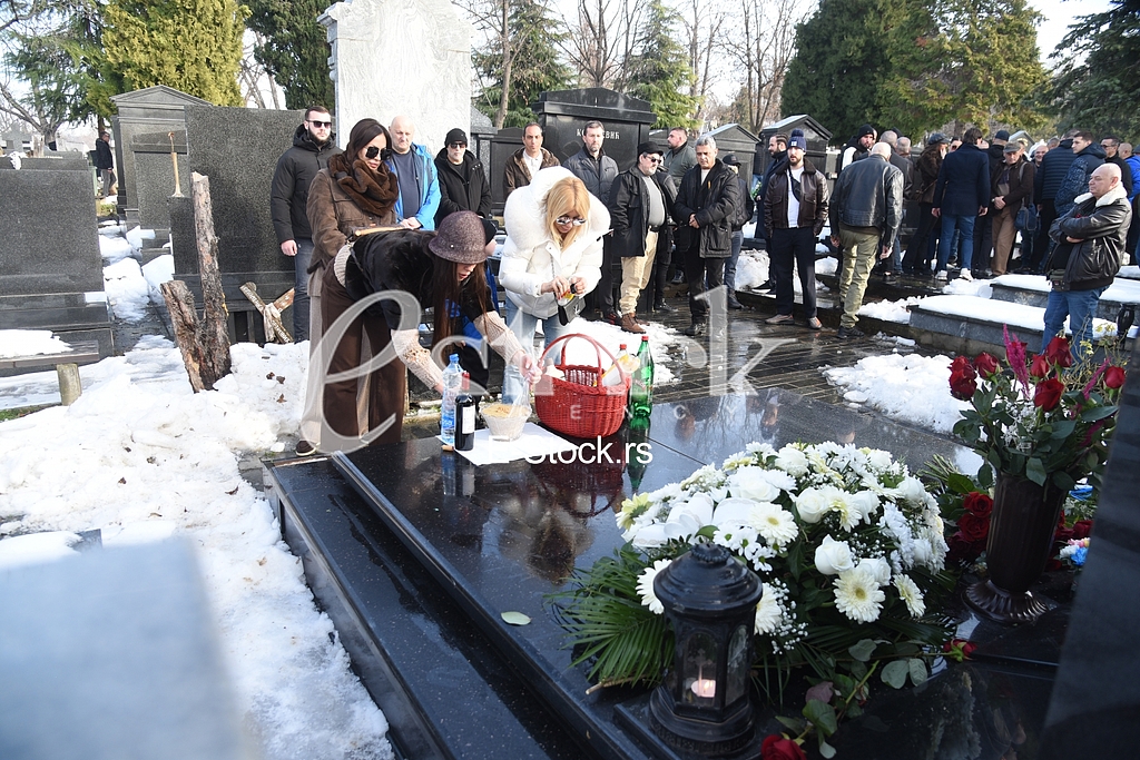 Ceca Raznatovic Bogdana Lidija Ocokoljic