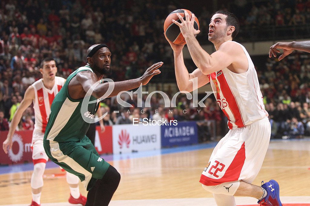 CRVENA ZVEZDA vs PANATHINAIKOS ATHENS