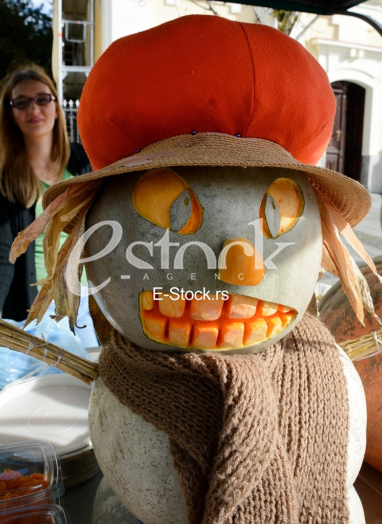 competition for the heaviest pumpkin, and for the most beautiful piece of pumpkin, market Zemun