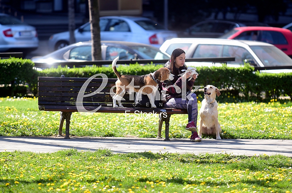 Suncan dan i koronavirus