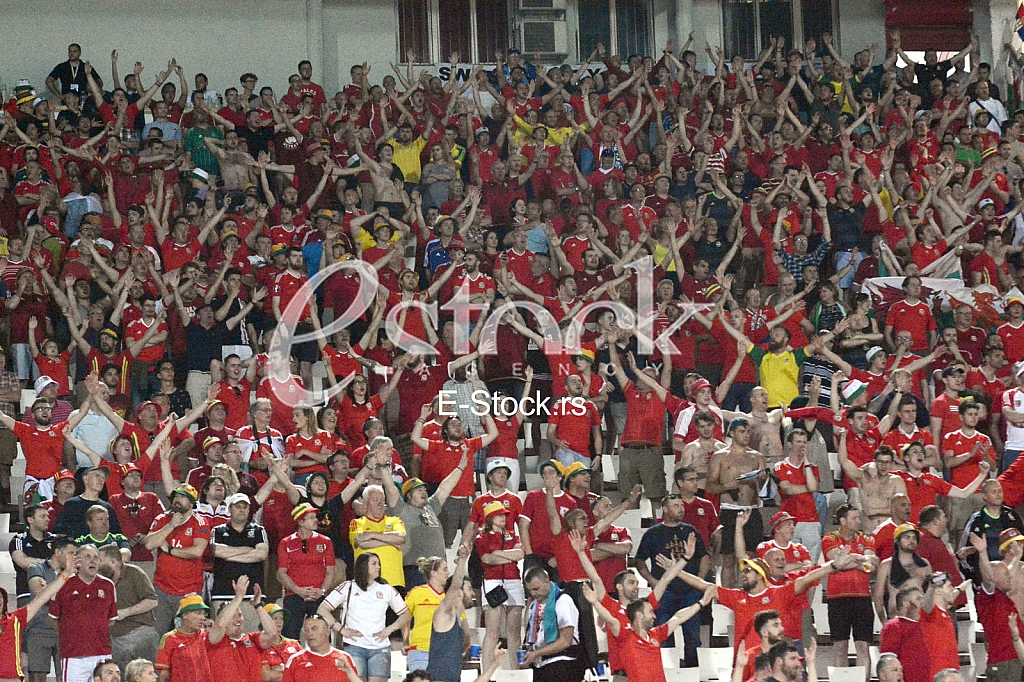  Serbia-Wales, football match.
