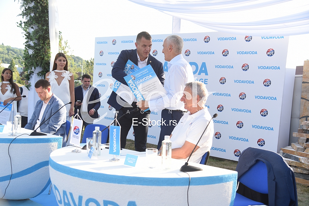 Svetislav Pesic Vojin DJordjevic