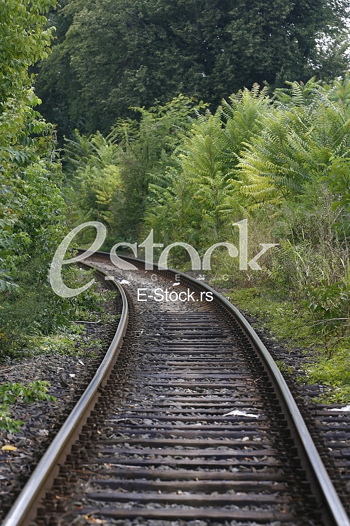 Railway track in a green forest