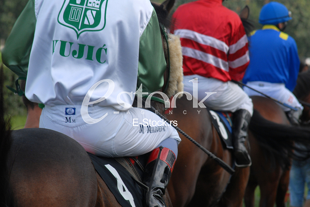 Ljubicevo Equestrian Games

