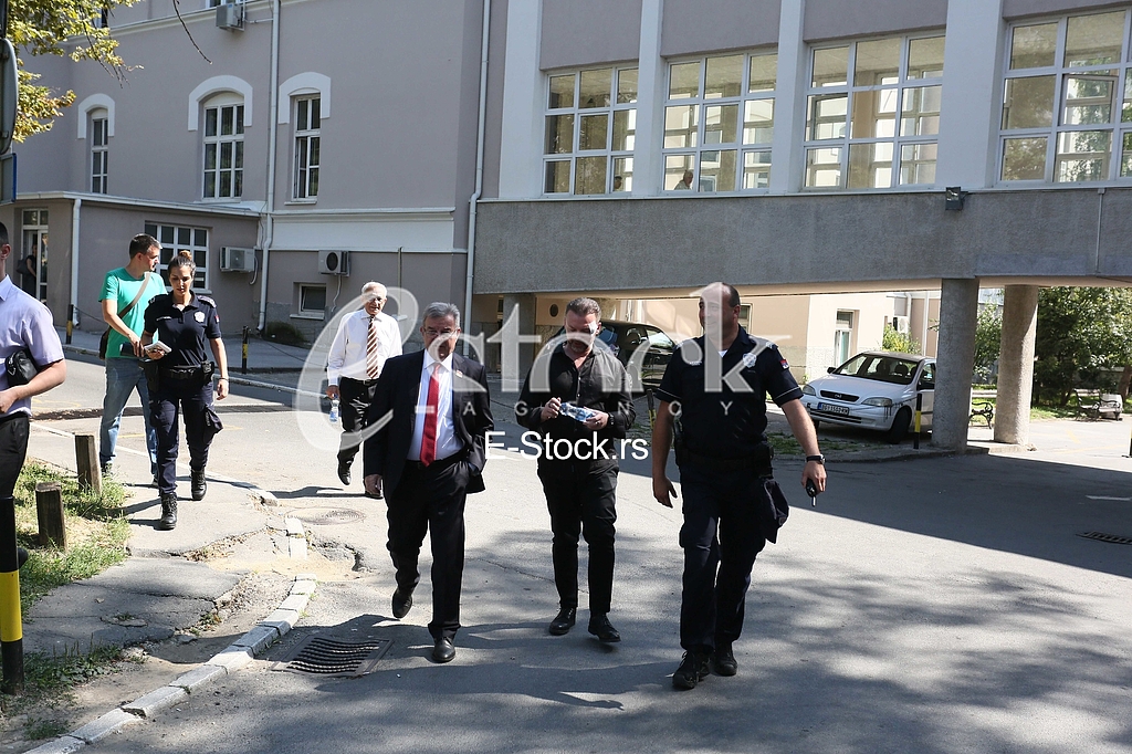 Dragomir Karic Simon de Karic
