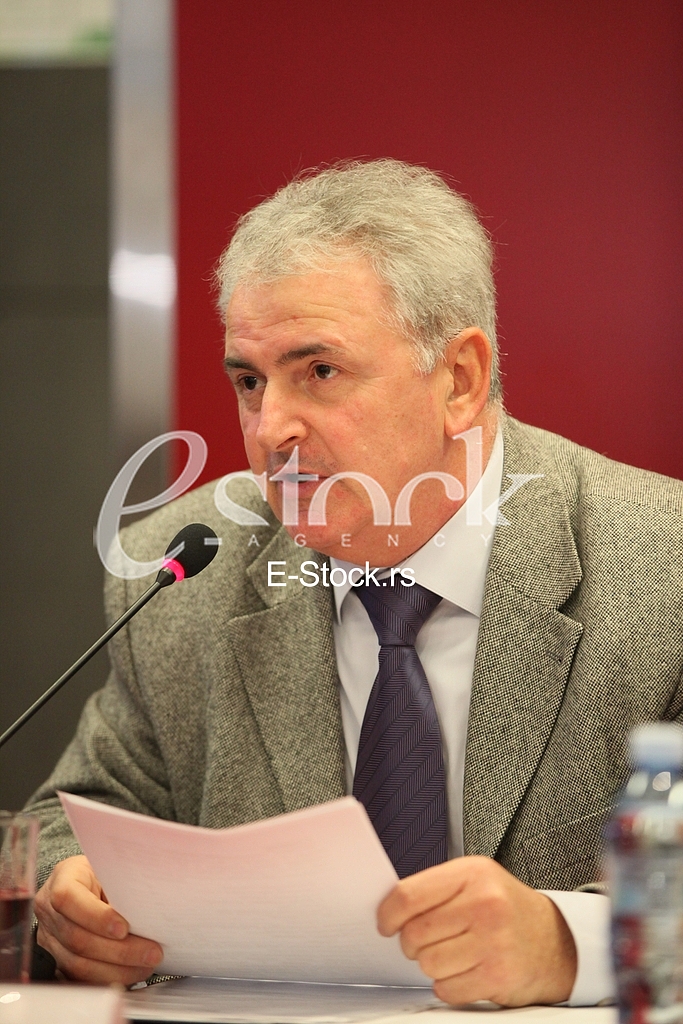 Press Conference,Municipality Vracar,Vladan Alimpijevic 