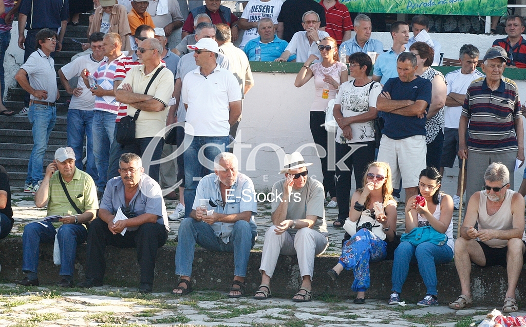 Hippodrome Belgrade hippodrome, and 100 years of equestrian sport horses and equestrian sports, horse