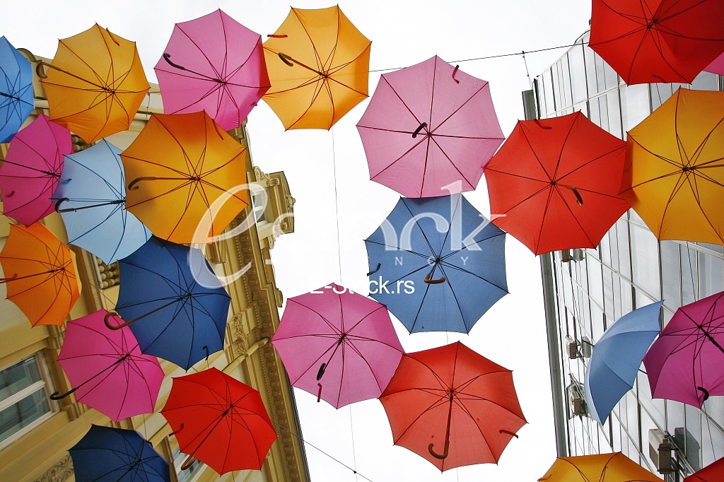 umbrellas in different colors 