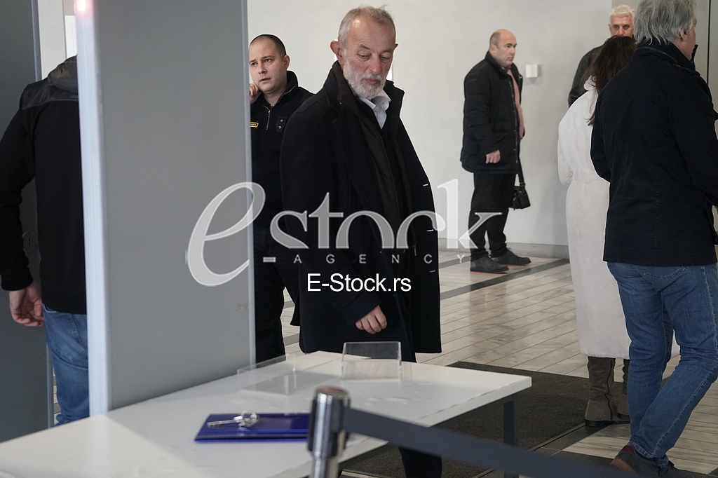 Miroslav Mika Aleksic