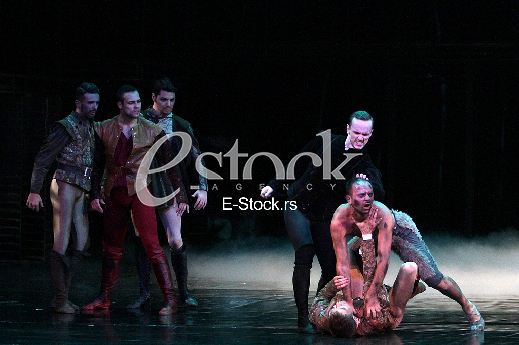 Ballet Queen Margot