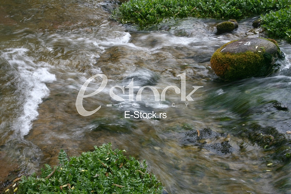 Mountain river flowing at summer forest landscape