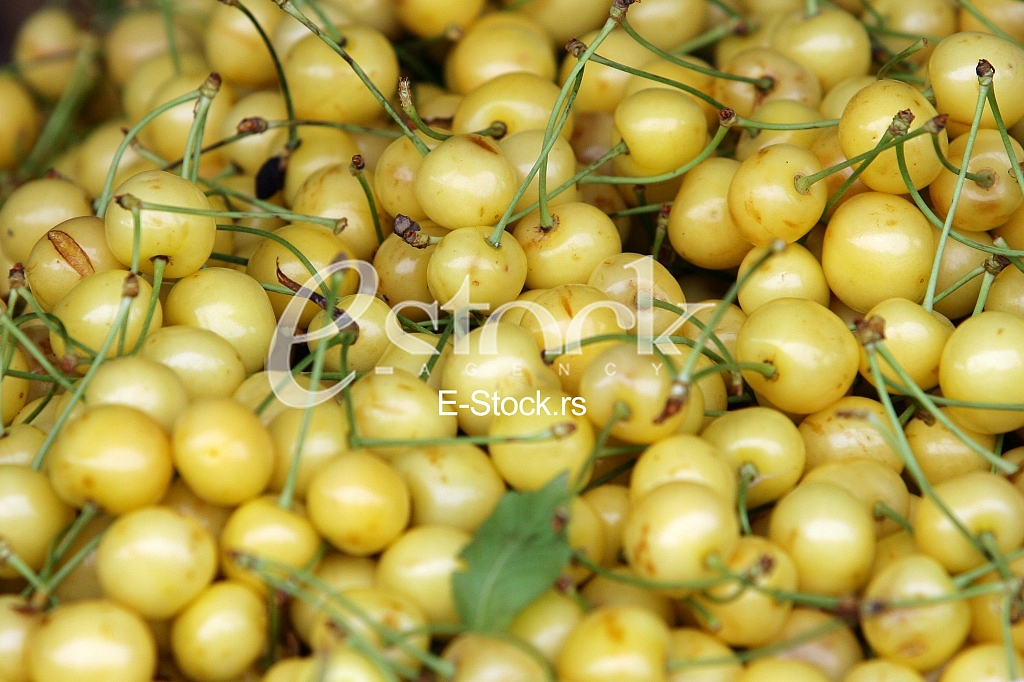 fresh white cherries natura whitel cherry to background on the street market