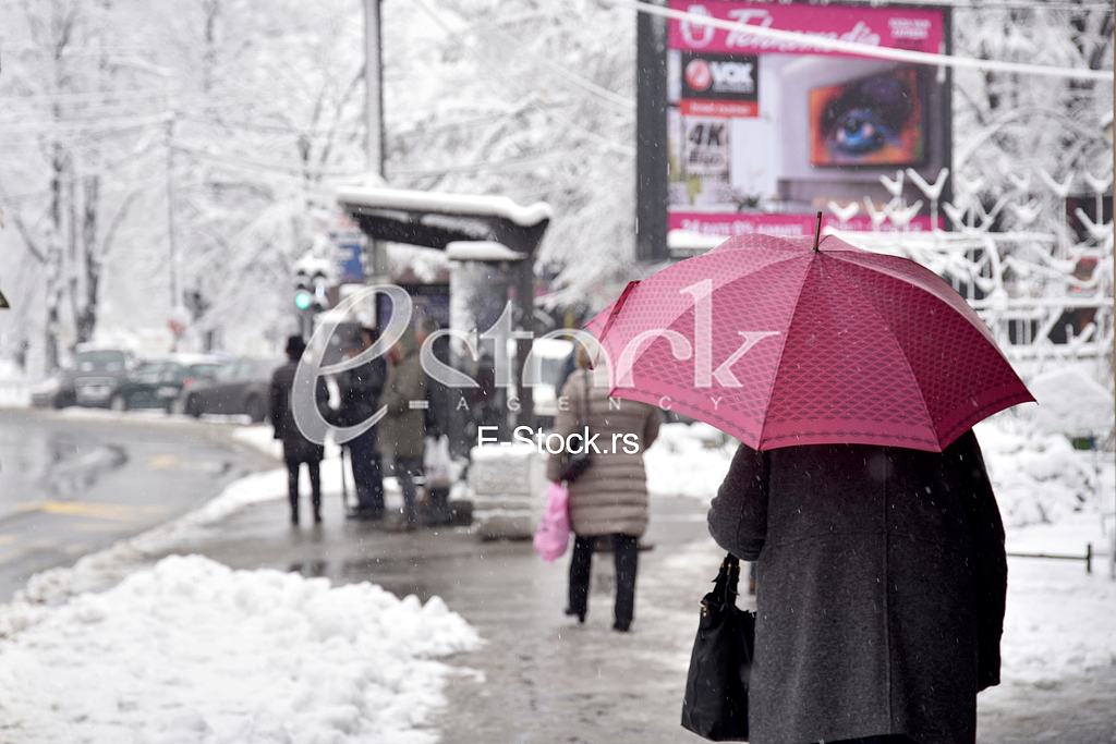 Winter 