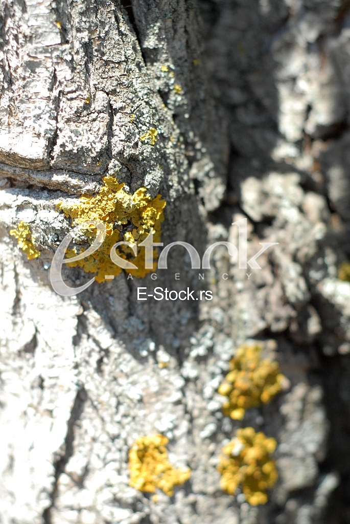 Ecology