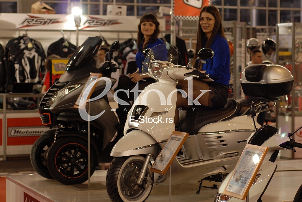 The Car Show