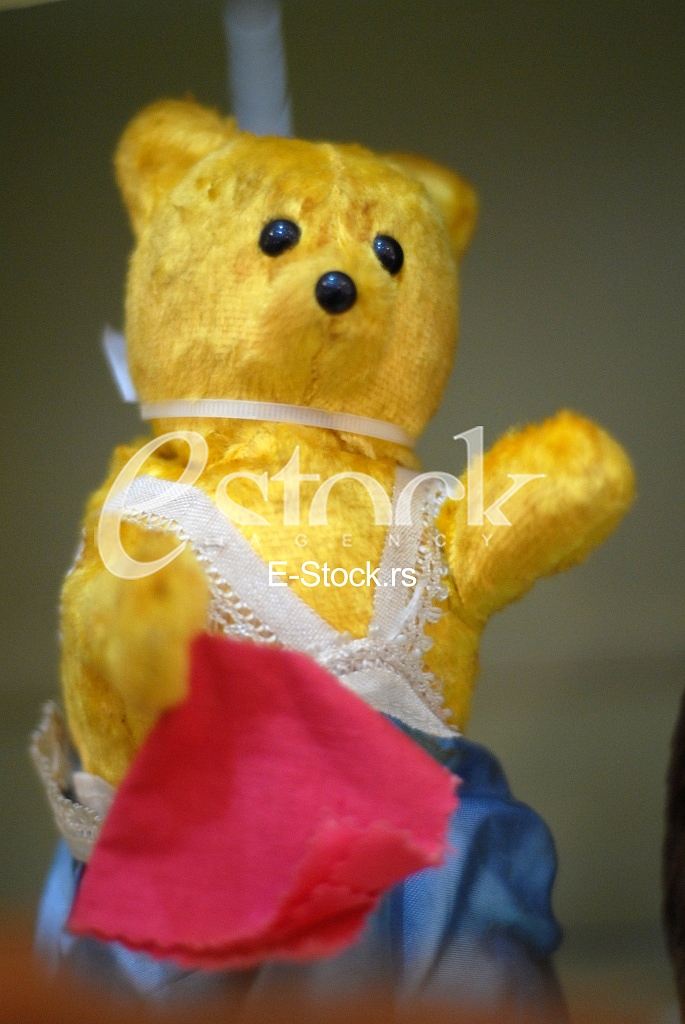 Exhibition teddy bears toys
