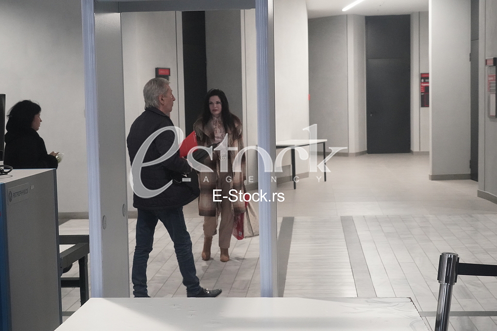 Miroslav Ilic i Mirjana Antonovic
