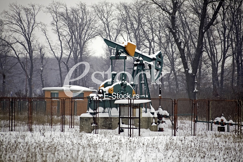 Oil
