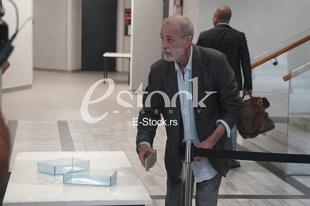 Miroslav Aleksic