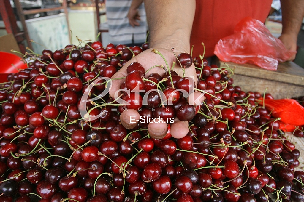 man holding a cherry in hand, fresh cherries natural cherry to background on the street market