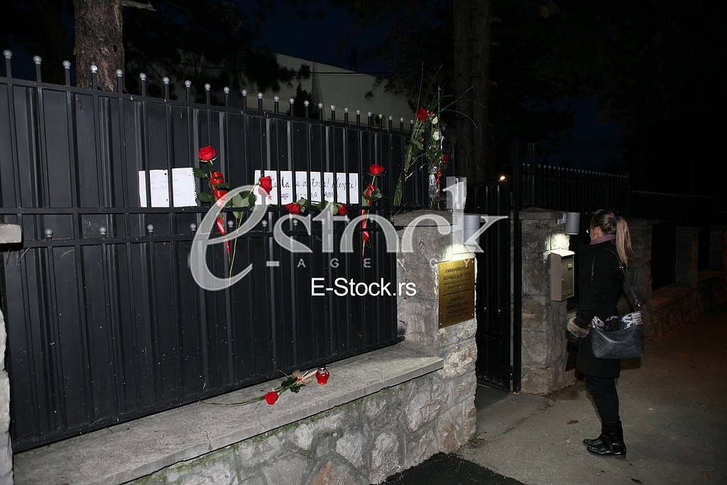 Embassy of Cuba in Serbia,Fidel Castro