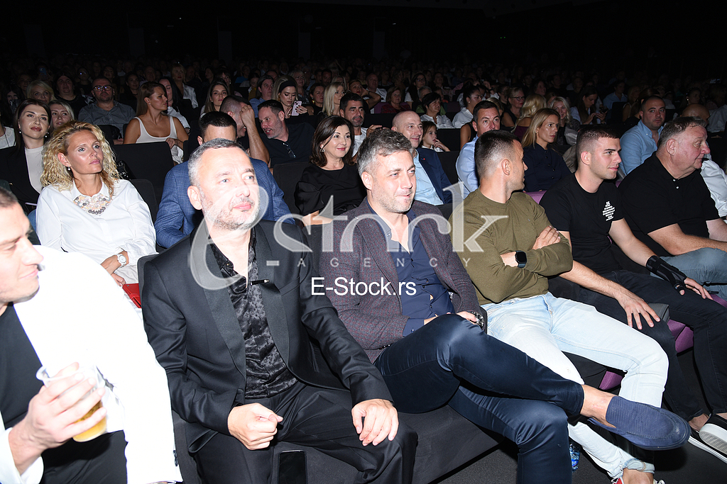  Koncert Ilda Saulic