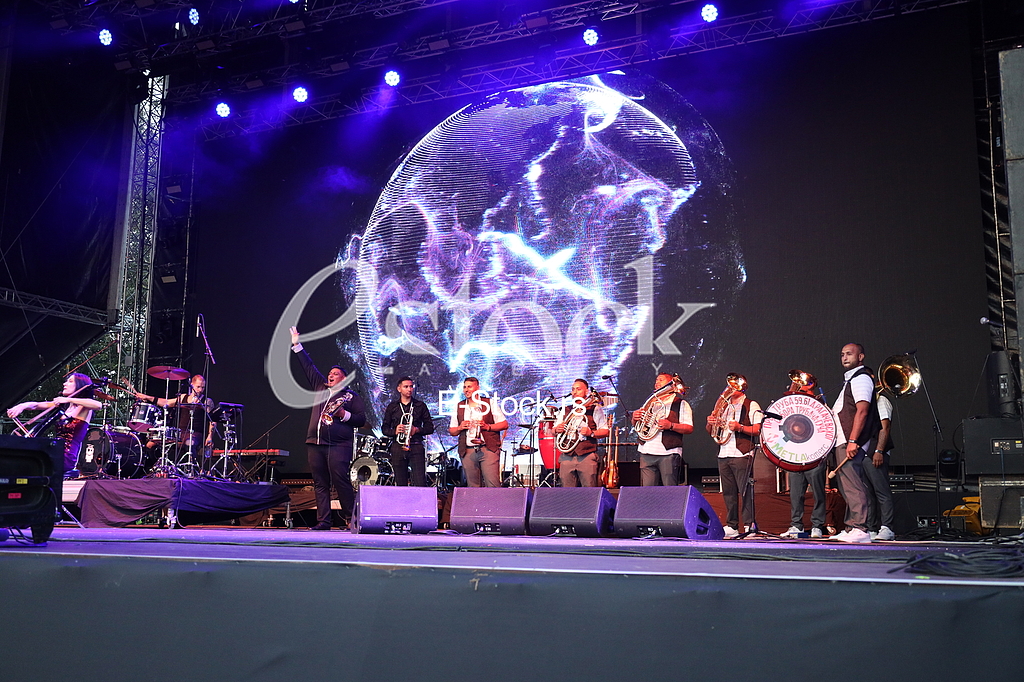 Orkestar Elvisa Bajramovica