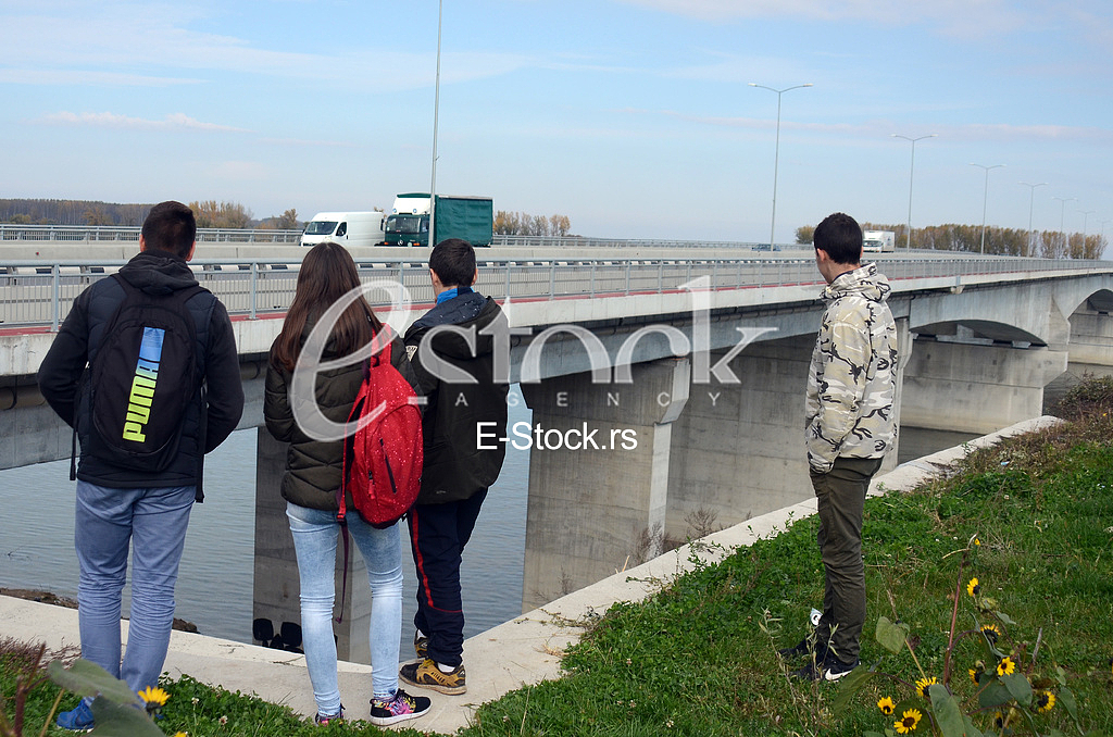 Bridge Mihailo Pupin