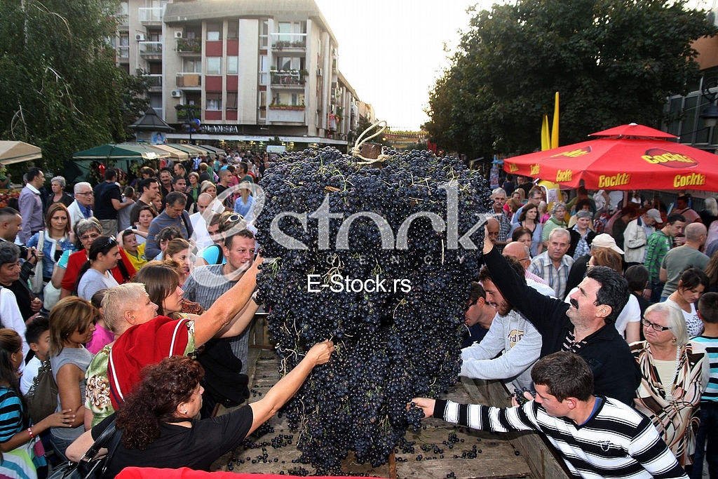 The festive parade on the occasion of Smederevo Autumn