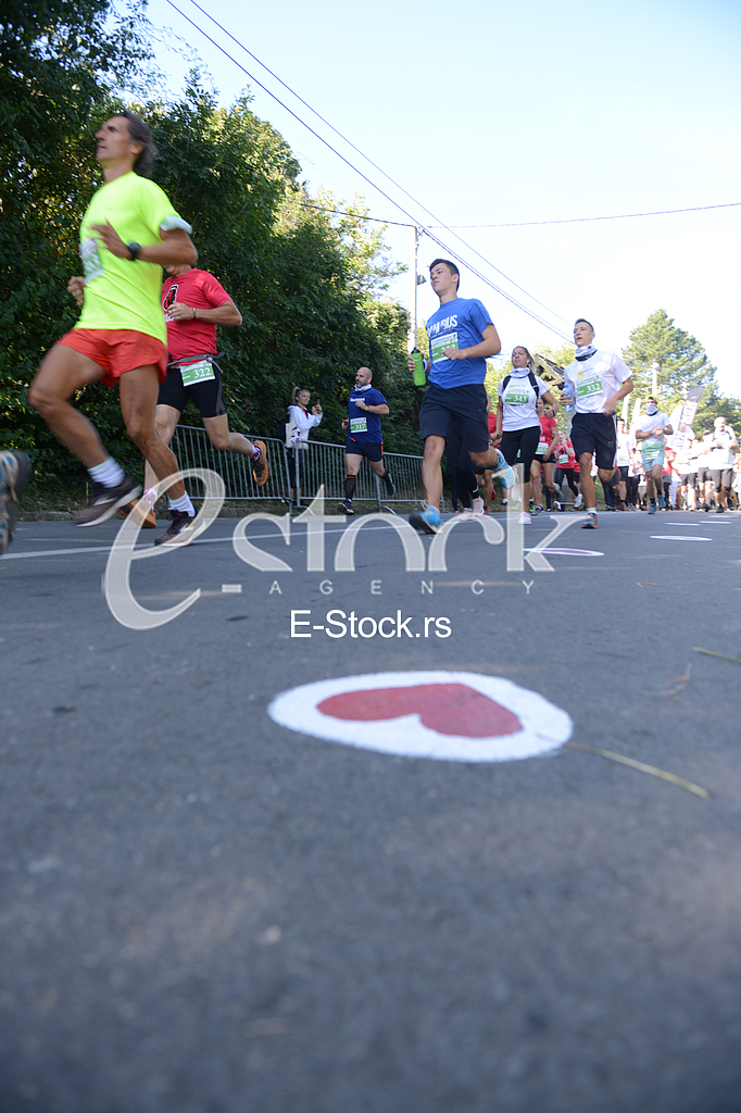 Fruskogorski maraton