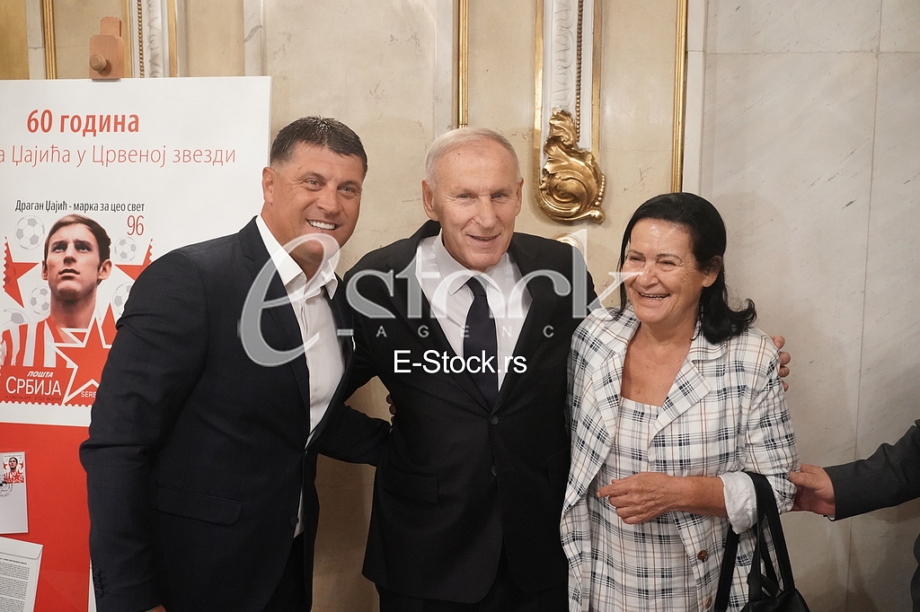 Vladan Milojevic, Dragan Dzajic