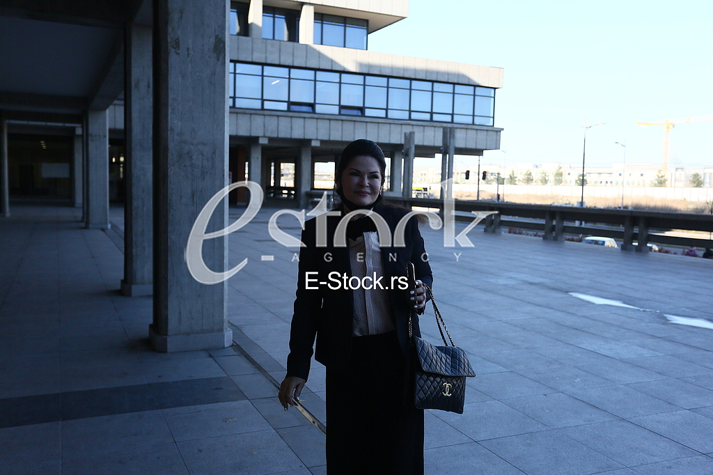 sud mirjana antonovic