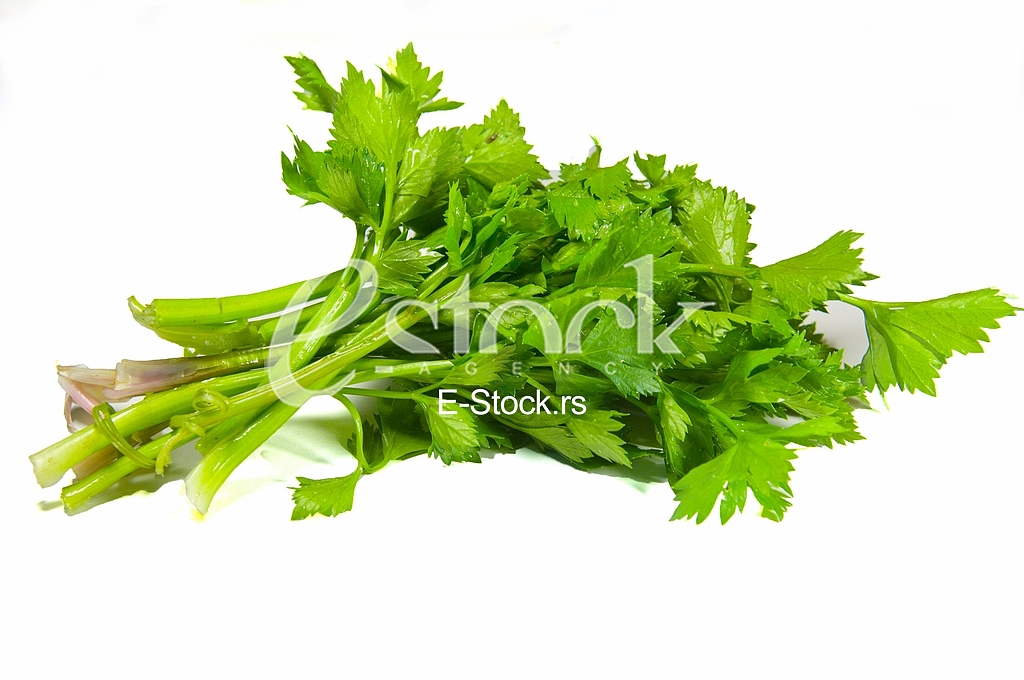 Parsley