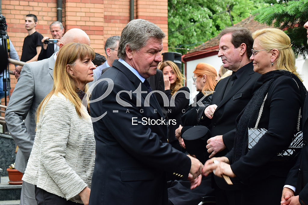 Bogoljub Karic Milanka Karic Borislav Pelevic
