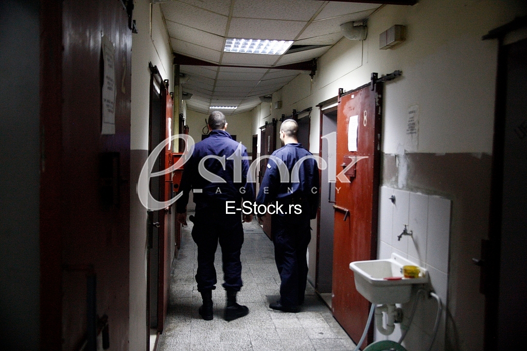 police, 29 novembar, station, police station