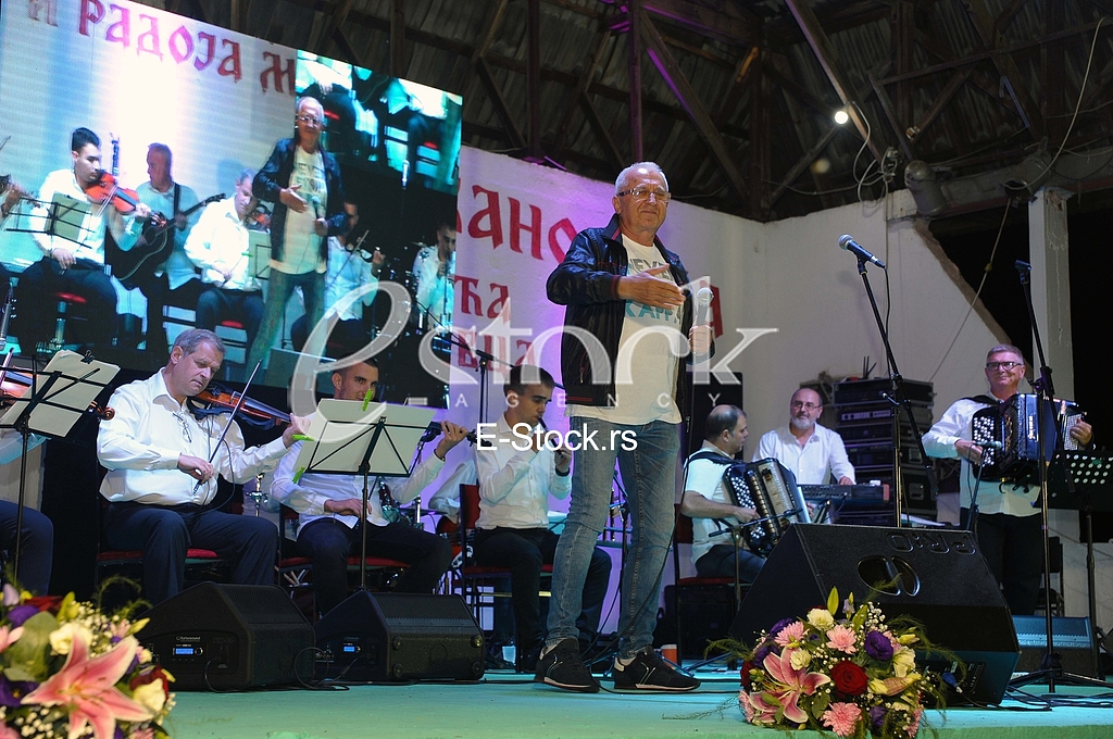 Era Ojdanic