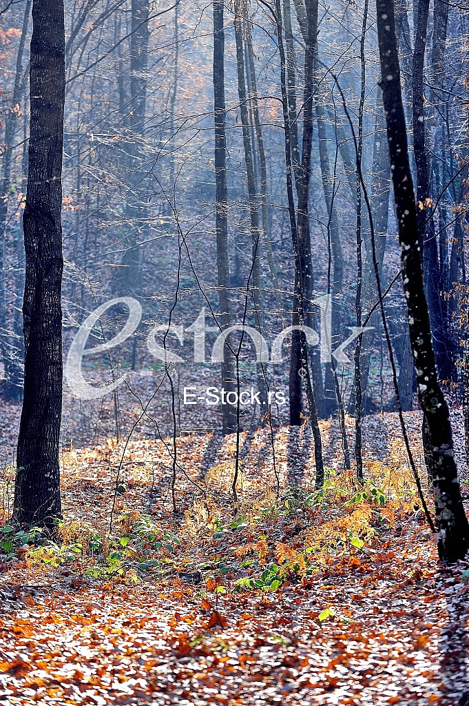 Djavolja Varos, Devil's Town Djavolja Varos, Devil's Town