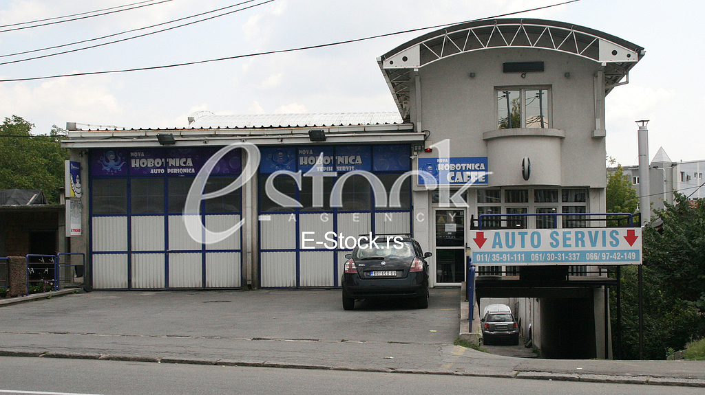 Wounded owner of Octopus Hobotnica