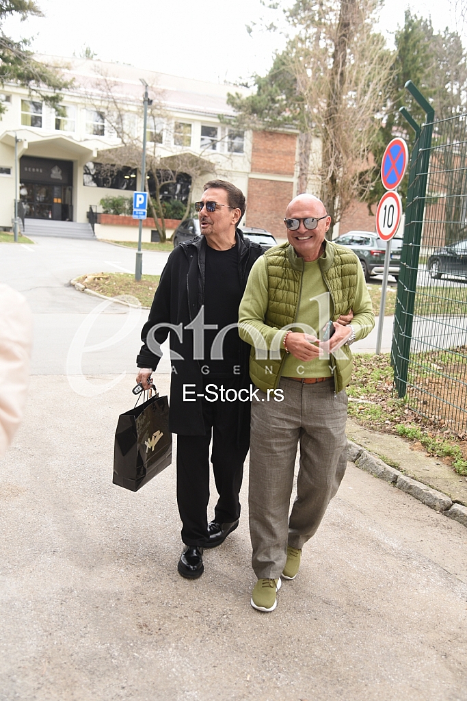 aleksandar milic mili  dragan kojic keba