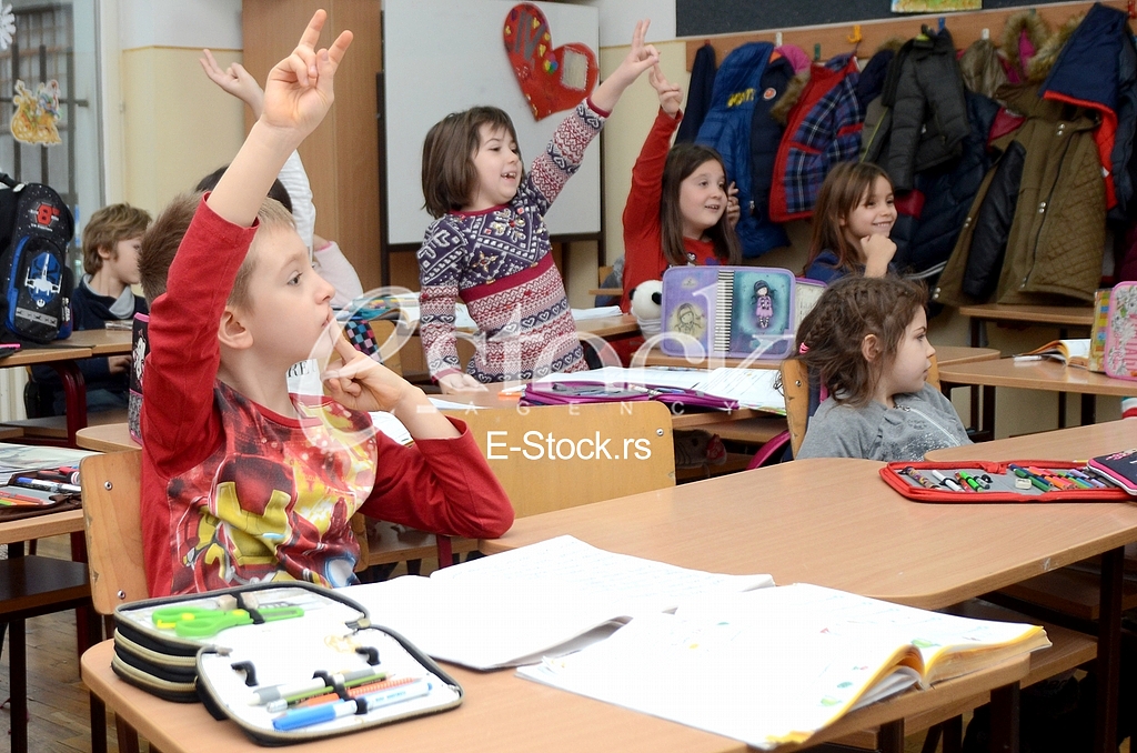 The elementary school Vuk Karadzic
