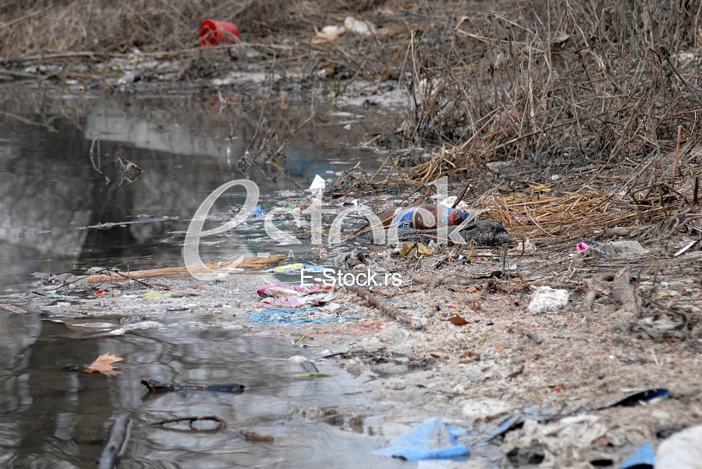 Ecology