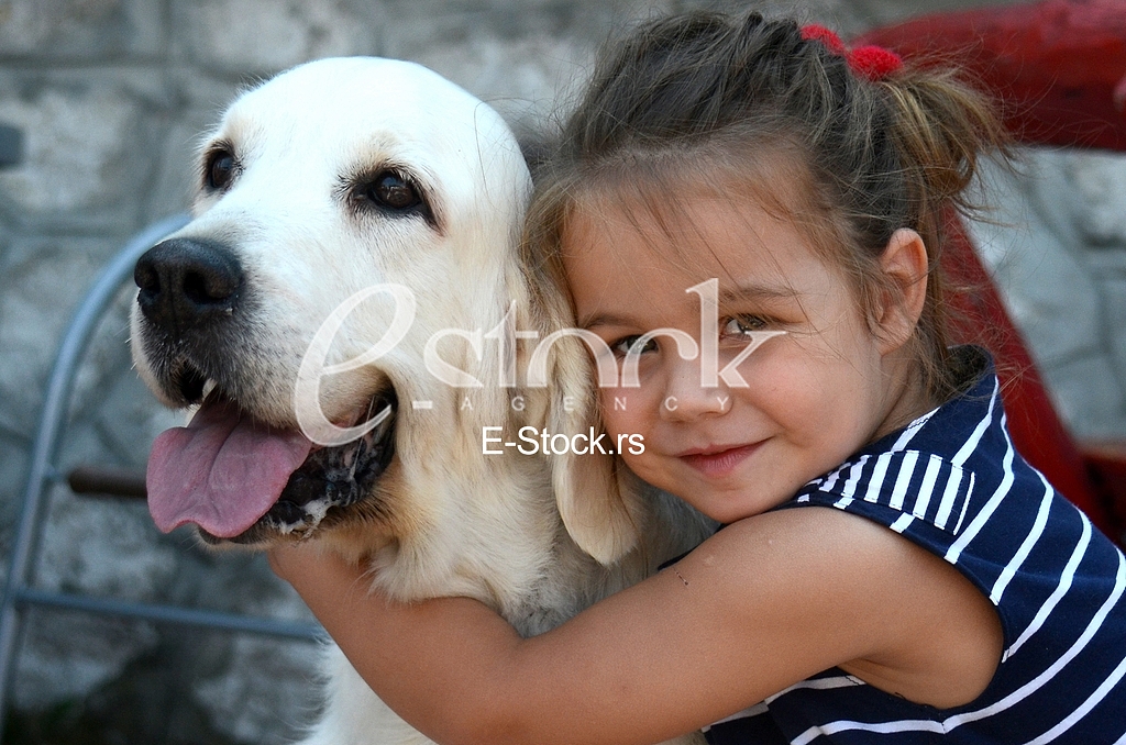 The first international festival of pets 