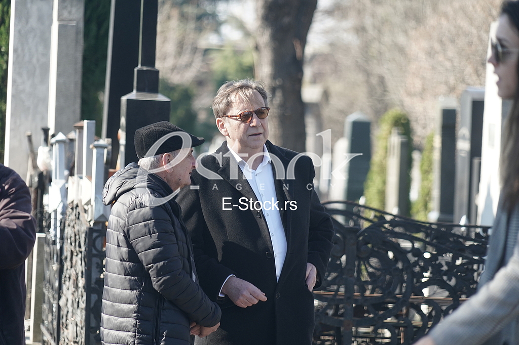 Tihomir Stanic