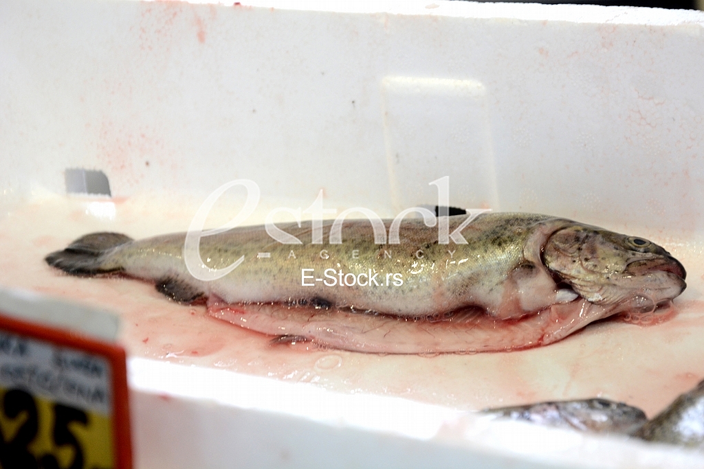 Preparing fish for eating.