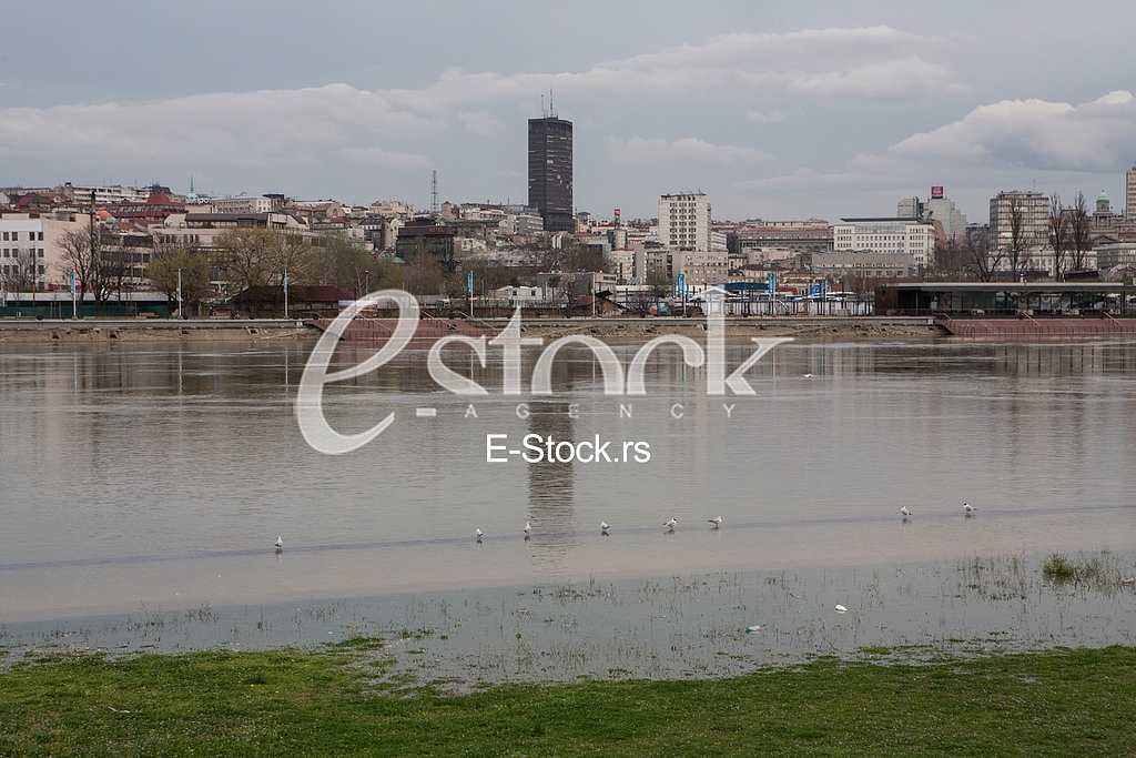 Flood