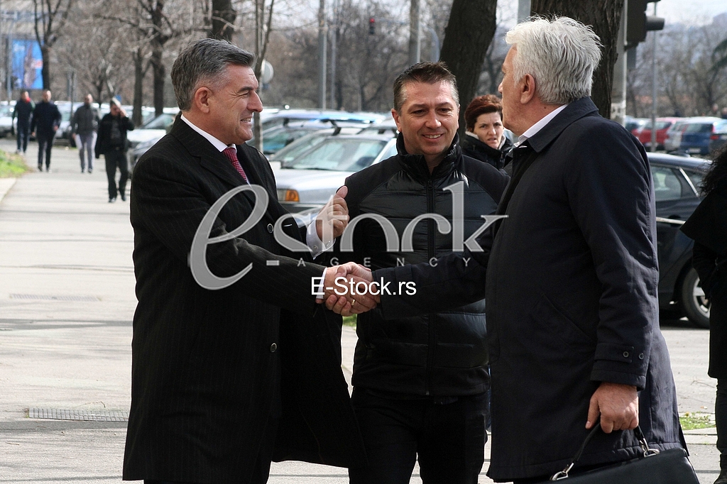 Milanko Sarancic