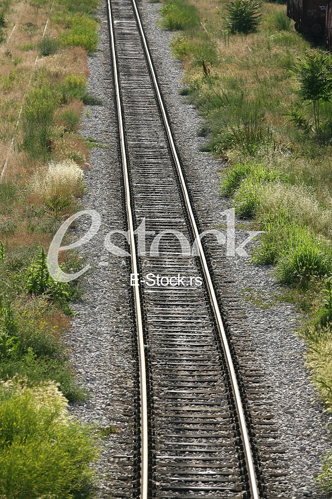 Cargo train platform railway tracks in a rural scene