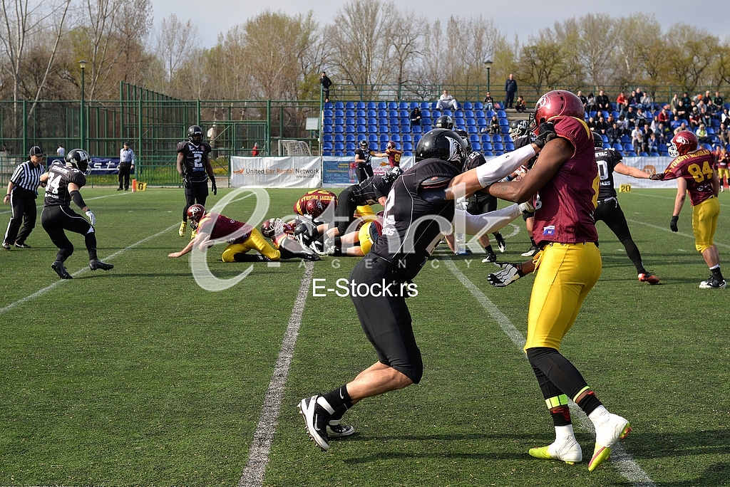 Derby between SBB Vukovi Beograd and Wild Boars Kragujevac
